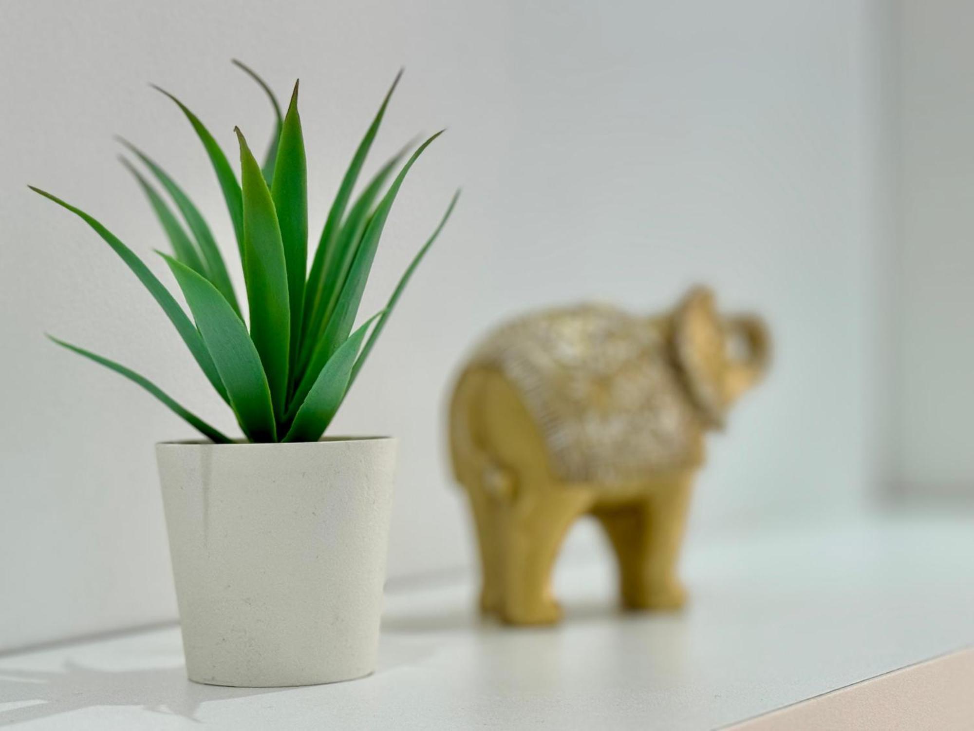 Apartamento Sweet Capuchinos Málaga Dış mekan fotoğraf